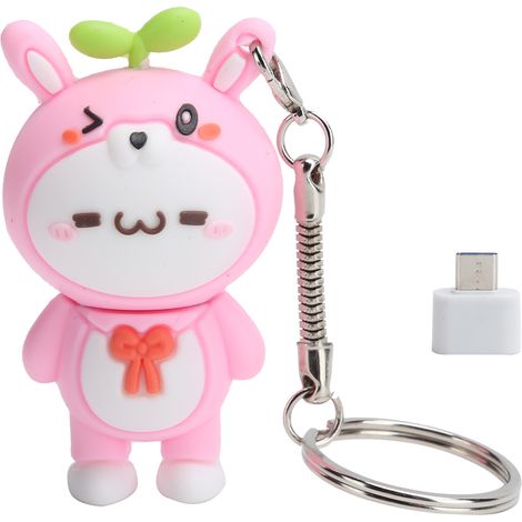 Clé USB - 64 Go - Interface USB 2.0 - Compatible Windows Mac Linux - Design Lapin Dessiné - ABS - Plug and Play (1/5)