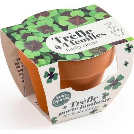 Mini kit de culture - Trèfle 4 feuilles - 6cm (1/6)
