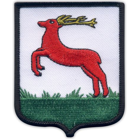 Parche con el escudo de armas de la ciudad de Pila - Borde bordado - Reverso magnético - Parche/Insignia/Emblema bordado