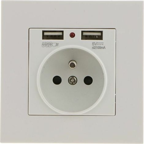 Wandsteckdose, Wandsteckdose mit Dual USB 5V/2100mA, Einbausteckdose mit 2 USB-Anschlüssen Praktisch und Handlich (1/4)