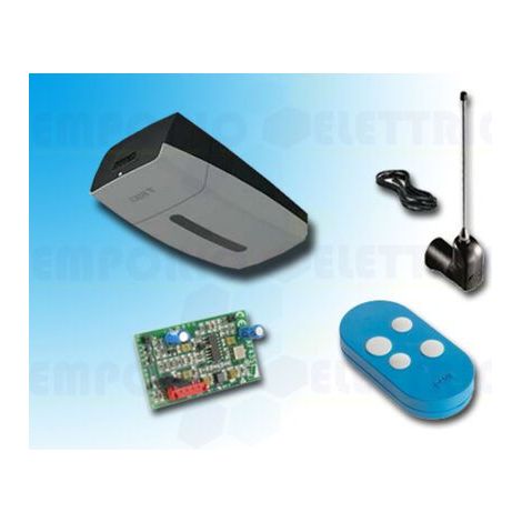 Kit Automazione garage Came VER PLUS - VER10DMS 24V per porte basculanti e sezionali 1000N (1/3)