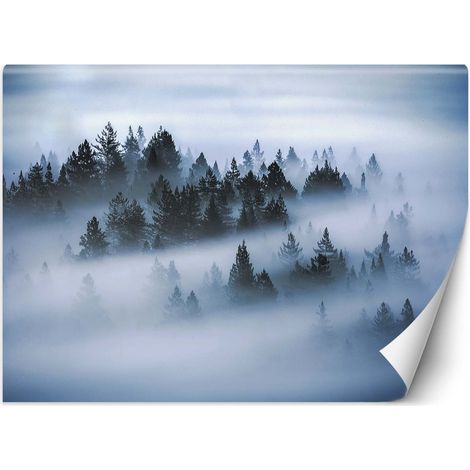 Carta Da Parati, Foresta nella nebbia - 250x175 (1/5)
