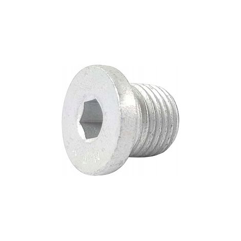 Tappo filettato con collare M10x1 zincato DIN 908 (1/5)