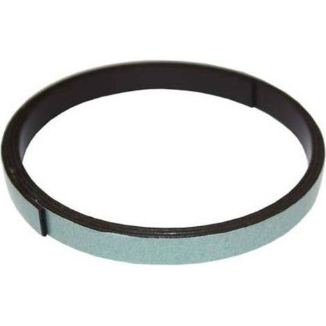 Barthelme 62389300 Nastro adesivo magnetico (L x L x A) 1 m x 10 mm x 0.6 mm 1 m (1/2)