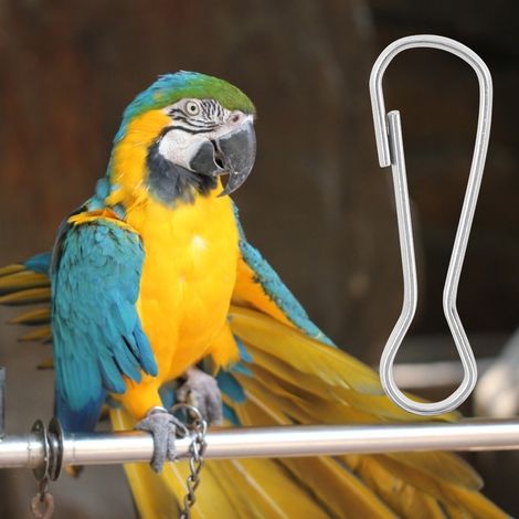 Lot de 100 crochets métalliques épais et résistants de haute qualité pour accessoires de cage à perroquets. (1/5)