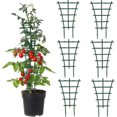 6 PCS Tuteurs Plantes D'intérieur Supports Réutilisables Et Durables Offrent Espace De Croissance Supplémentaire, Idéal Pots De Fleurs Et Plantes Grimpantes (1/5)