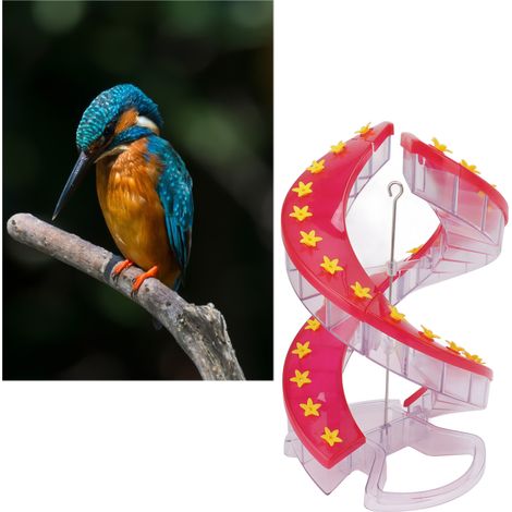 Comedero para colibríes de plástico transparente con diseño de doble hélice y fácil llenado para el jardín. [Comedero para colibríes] + [Plástico transparente] + [Diseño de doble hélice] + [Fácil llen (1/5)