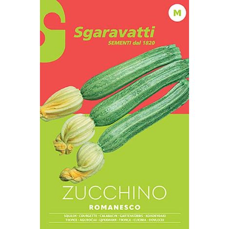 Semi per Ortaggi e Vegetali Zucchino Romanesco Sgaravatti 20 Pezzi (1/2)