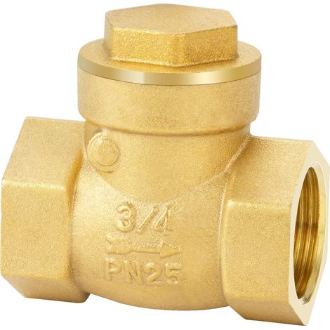 Valvola di non ritorno in ottone con filettatura interna da 3/4" DN20 per raccordi per tubi (1/5)
