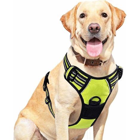 Arnés antitirones para perros, transpirable y fácil de usar, con correas reflectantes para ajustar el tamaño (Verde, L) (1/4)