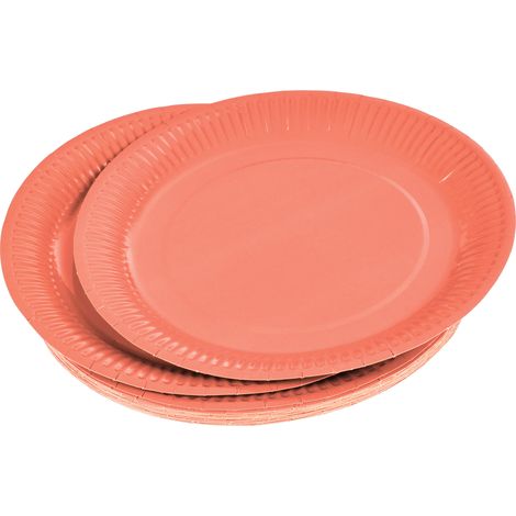 20 assiettes en carton 23 cm Unies terracotta (1/3)