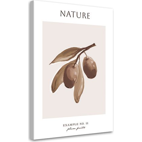 Tableau sur toile Fruit de prune - Nature 40x60 (1/5)