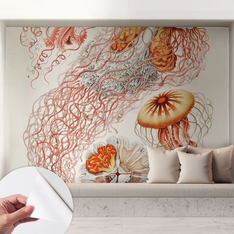 Carta da parati autoadesiva - Fotomurale adesivo - design elegante - stile moderno - Meduse fantastiche 208x146 cm (1/5)