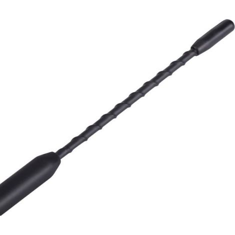 Antenne Autoradio - Antenne Radio FM Universelle 9 Pouces - Pour Voiture - 1 Pièce (1/4)
