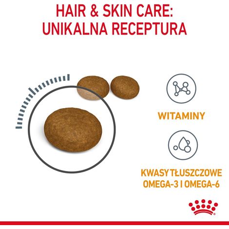 Pienso ROYAL CANIN HAIR AND SKIN CARE para gatos (cuidado pelo y (1/5)