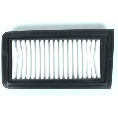 luftfilter champion für roller suzuki 650 an burgman 2003 bis (1/5)