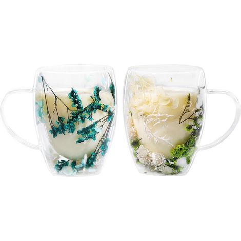2er-Pack Doppelwandige Gläser mit Trockenblumen, 350ml Thermogläser für Kaffee, Tee, Eistee