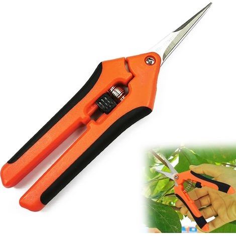 Ciseaux de Jardinage Faits à la Main, Ciseaux de Jardinage en Acier Inoxydable pour les Plantes et les Fleurs,16.5cm(Couleur Orange)
