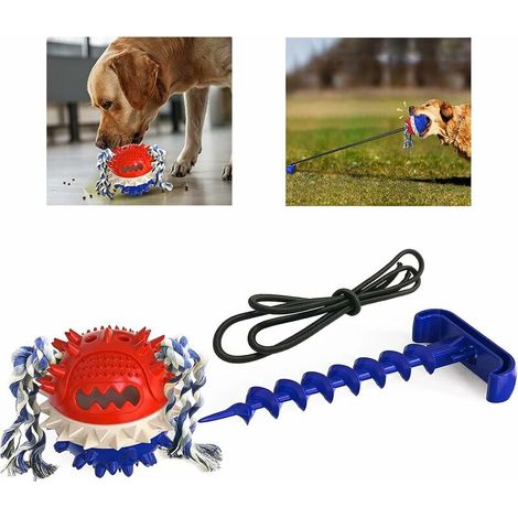 Jouets pour Gros Chiens, Jouet pour Chien Indestructible, Jouet à Mâcher, Nettoyage Anti Molaire, Jouet d'eau Interactif et Jouet Rebondissant pour Chien Ball (1/4)