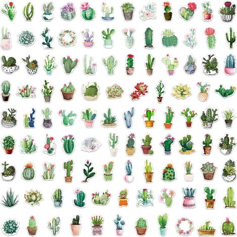 Autocollants Plantes 100 Pièces Pvc, Stickers Cactus et Succulentes Plusieurs styles (1/5)