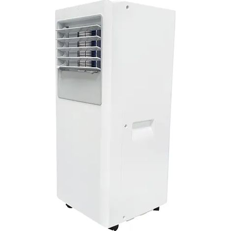 Condizionatore Portatile Qlima P 3026 Bianco - Classe A e Timer 24h (1/5)