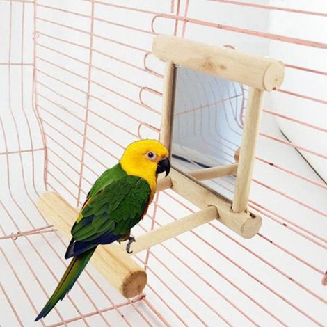 Perchoir en Bois avec Miroir pour Perroquets, Perruches, Aras et Cacatoès, Jouet d'Activité