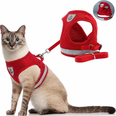 Beyamis Harnais et laisse réfléchissants anti-fugue pour chat, rouge, taille L