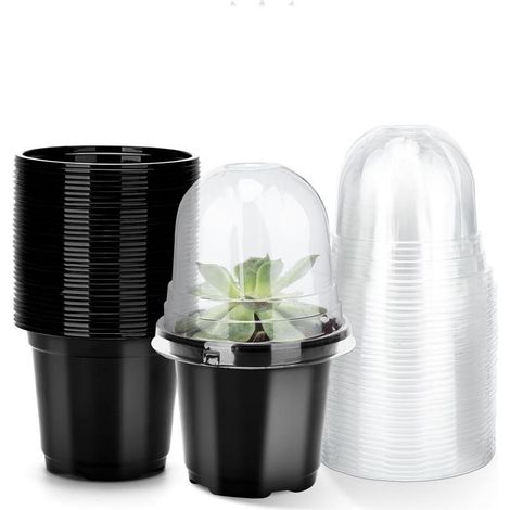 Macetas para semilleros, juego de 12 macetas de plástico para flores, macetas para trasplante, con tapas transparentes, macetas para plantar, color negro. (1/5)