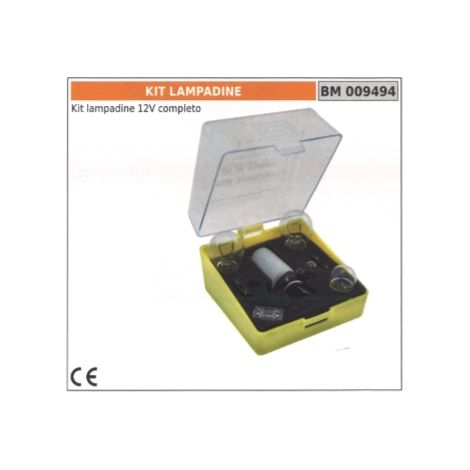 Kit lampadine 12V omologato CE codice 009494