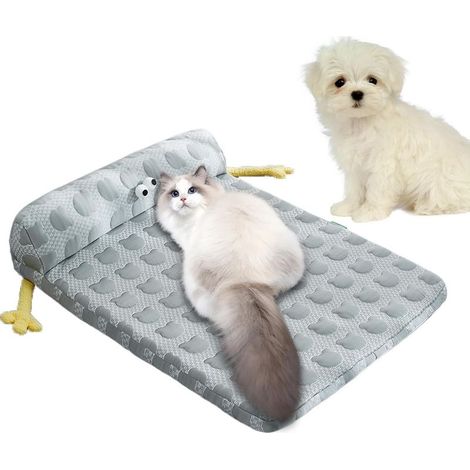 Rafrachissant pour Chien Tapis de Sol Dtente Rafrachissant (1/5)