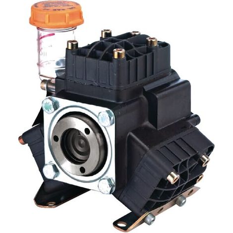 Pompe à pistons BERTOLINI 036014973VF