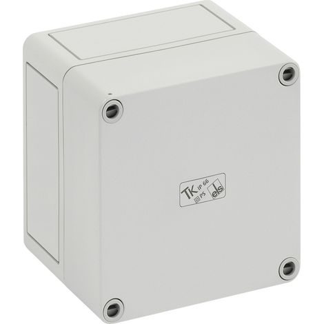 Spelsberg TK PS 1111-9 Installations-Gehäuse 110 x 110 x 90 Polystyrol (EPS) Lichtgrau (RAL 7035) 1 (1/2)