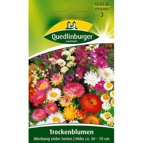 Quedlinburger Trockenblumen Mischung vieler Sorten - Blumensamen (1/2)