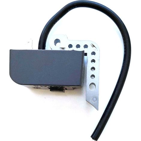 A411-000101 - Bobine d'allumage pour Taille-Haies ECHO