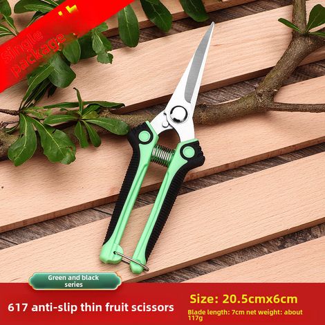 Cisaille élagage fruitier 617 verte, coupe branches fleurs robustes, lame acier, lot vrac, jardinage pro (1/5)