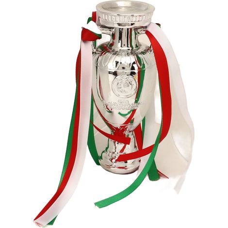 Trophée de Football en Résine pour Supporters - Cadeau Idéal pour les Fans de Soccer (1/5)
