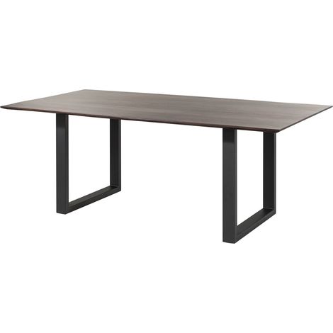 Esstisch Akazie 220x100 braun lackiert / U-Beine anth. matt SWISS EDGE