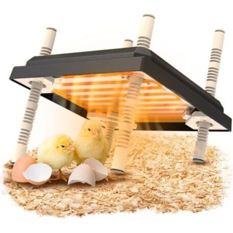 ALLIANDISPlaque chauffante électrique 10x10 pouces pour poussins - Lampe chauffante réglable, sûre et efficace, adaptée aux incubateurs, un choix idéal pour les éleveurs de volailles. (1/4)