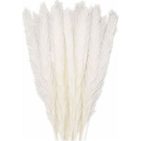 30 pcs Herbe de la Pampa, 45 cm Naturel Pampa Fleur Bouquet de Fleurs Sechees pour Vases, Blanc Boho Decoration Chambre Maison Salon, Mariage Photographier Table Décoration (1/4)