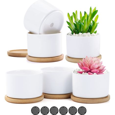 6 Pcs White Ceramic Succulent Plant Pots, Small Containers with Bamboo Tray for Flowering Plants, Herbs, Wedding, Christmas, Birthday Gift (1/5)