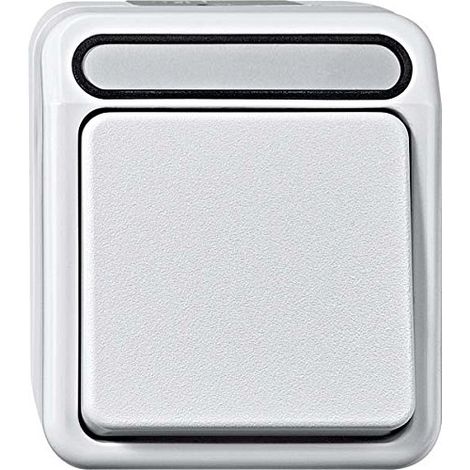 Merten MEG3116-8019 Interruptor blanco polar estanco