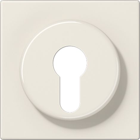 Jung Tapa para interruptor de llave con protección antirrobo 1 vía, termoplástico, serie LS, blanco LS 928