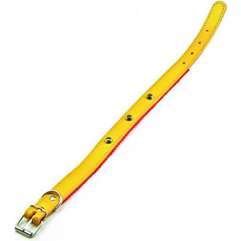Utilia Pet COLLARE IN CUOIO FELPATO CON BORCHIE cm. 51x2,5 col. Assortiti 6 PZ
