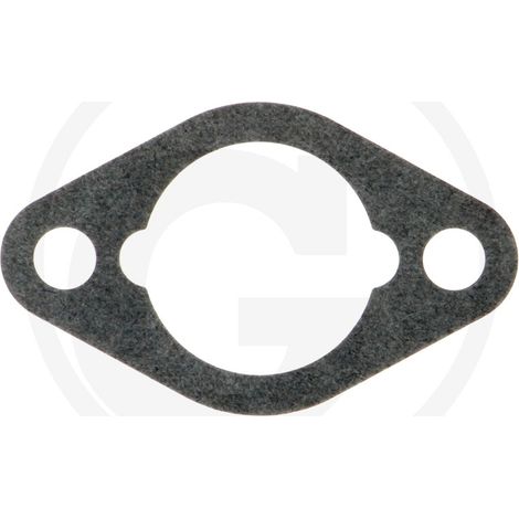 GUARNIZIONE VANGUARD 115400