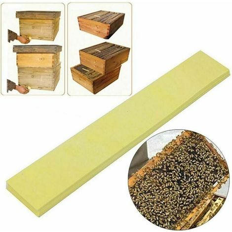 60 Pcs Pro Apiculture Fluvalinate Abeille Acarien Varroa Outil Bandes Fournitures