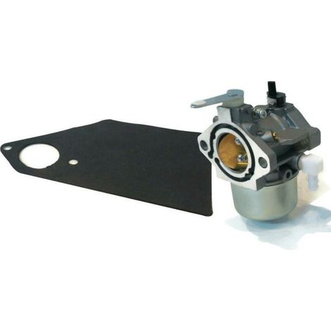 Moteurs Briggs & Stratton Simplicity Snapper 690111 690115 BLOW