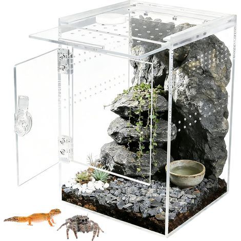 Acryl-Terrarium, Frontöffnung, rechteckig, transparent, für Spinnen und Reptilien (1/5)
