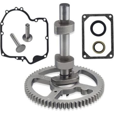 Pour Briggs Stratton 793880 Arbre à cames 793583 792681 791942 795102 Joint 697110 H465 (1/5)