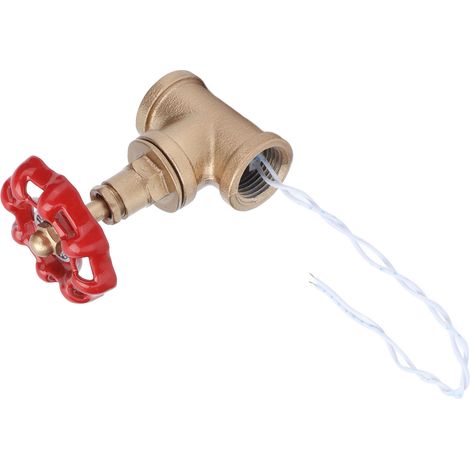 Interrupteur Industriel G1/2 pour Tuyau d'Eau, Lampe Steampunk avec Fil, 12V/120V (1/5)