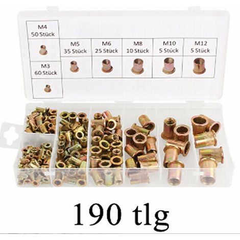 190PCS Écrous à Riveter Kit Assortiment M3 M4 M5 M6 M8 M10 M12 - Inserts Filetés en Acier Galvanisé - Rivnuts Tête Plate avec Boîte